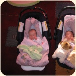 11-This is where they sleep